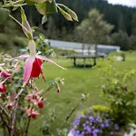 Pilsachhof Guest house Arriach