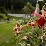 Pilsachhof Arriach