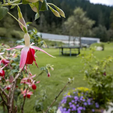 Pilsachhof Pensionat Arriach