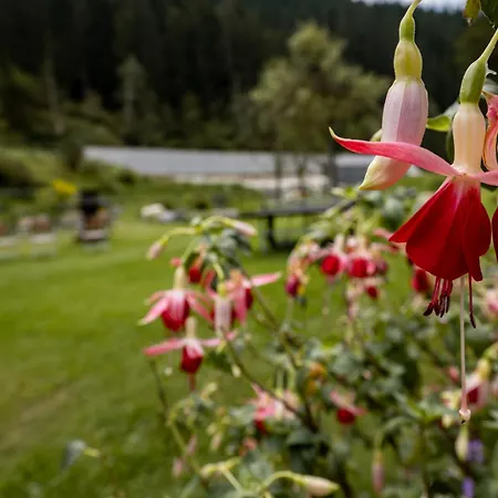 Pilsachhof Arriach