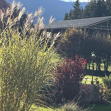 Pension Pilsachhof 3* 아리아흐