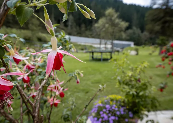 Pension Pilsachhof 게스트하우스 아리아흐