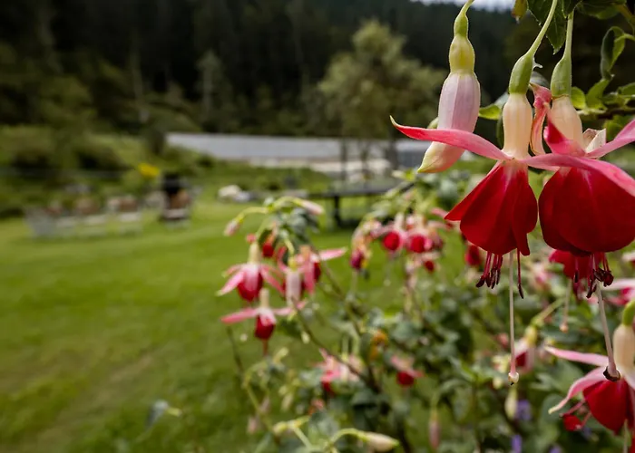 Pension Pilsachhof Arriach